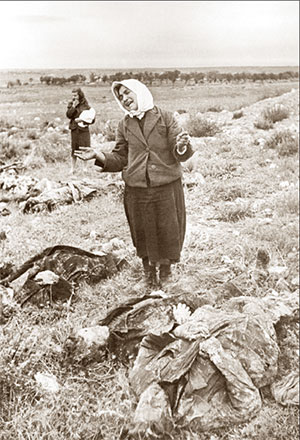 20-2-19.jpg 20-2-19.jpg