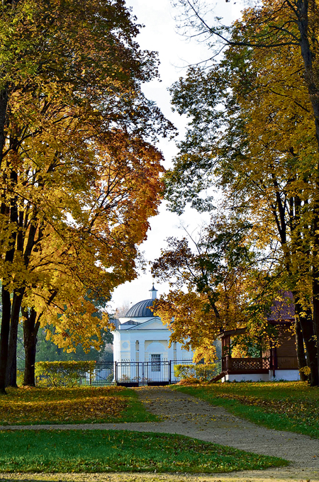 DSC_1574.jpg DSC_1574.jpg