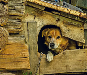 26-1-7.jpg 26-1-7.jpg