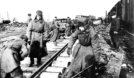 vosstanovlenie450.jpg vosstanovlenie450.jpg
