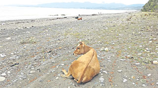 40-21-9.jpg 40-21-9.jpg