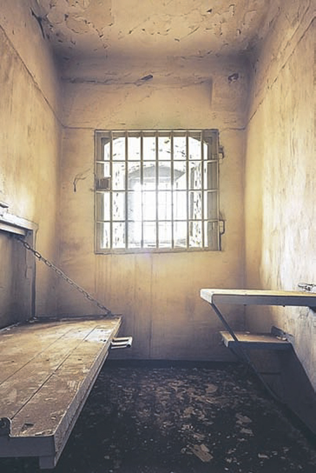 tyrma450.jpg tyrma450.jpg